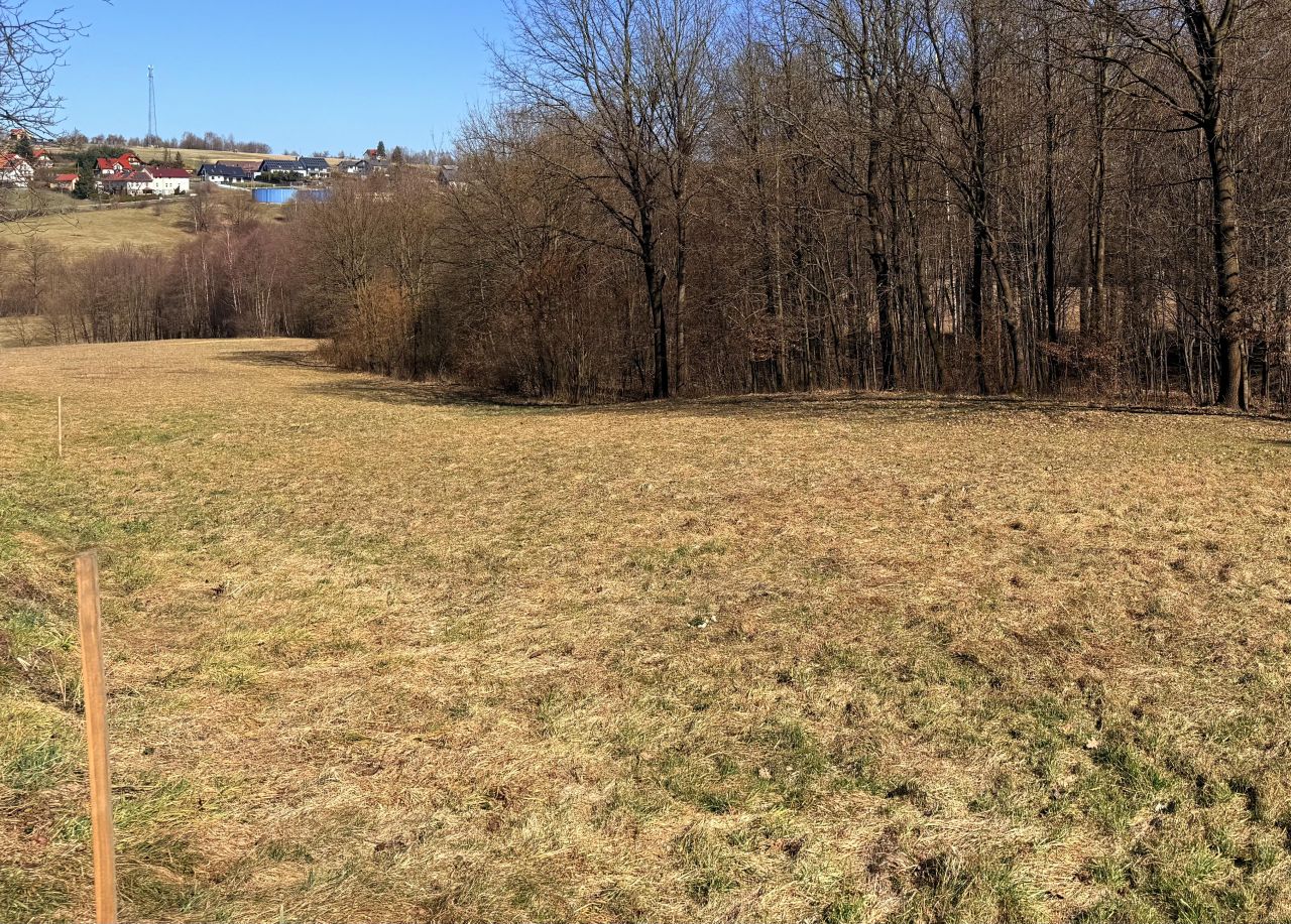 Działka rolno-budowlana Barwałd Średni. Zdjęcie 3