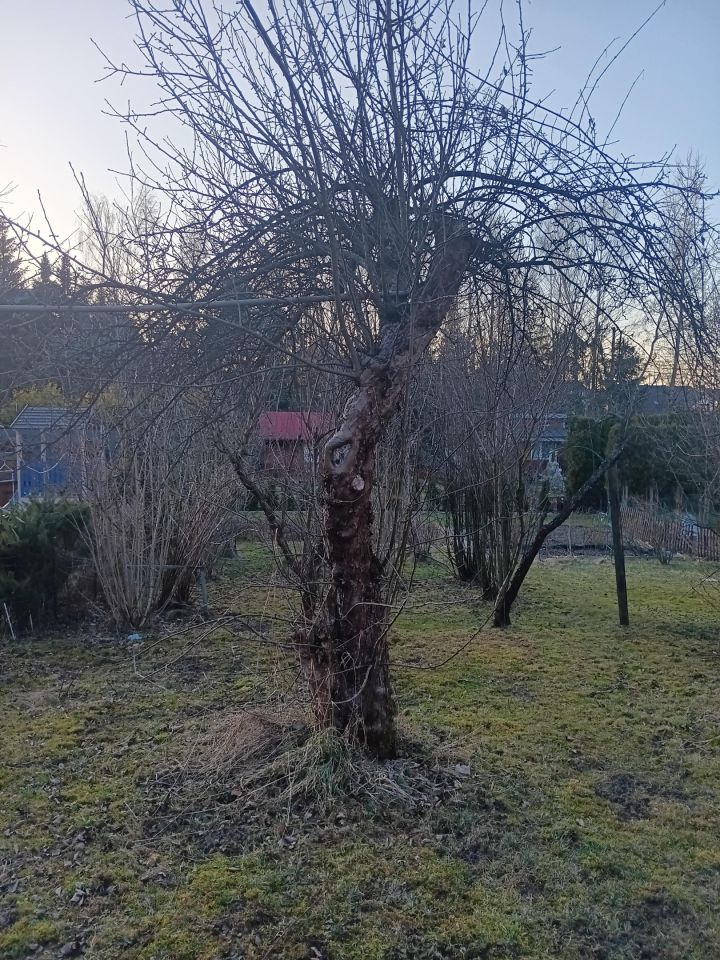 Działka rod Nowy Sącz Wólki, ul. Jadwigi Wolskiej. Zdjęcie 3