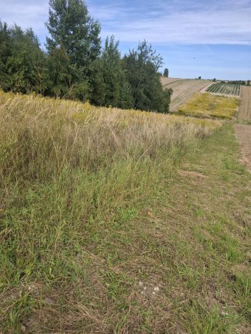 Działka siedliskowa Cianowice, ul. Ojcowska. Zdjęcie 1