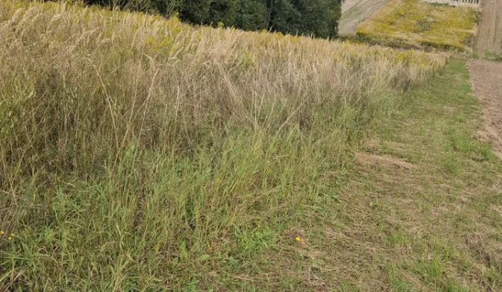 Działka siedliskowa Cianowice, ul. Ojcowska