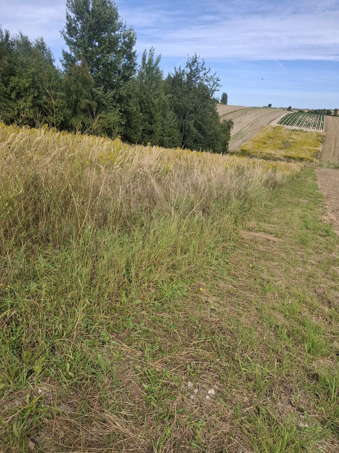 Działka siedliskowa Cianowice, ul. Ojcowska. Zdjęcie 1