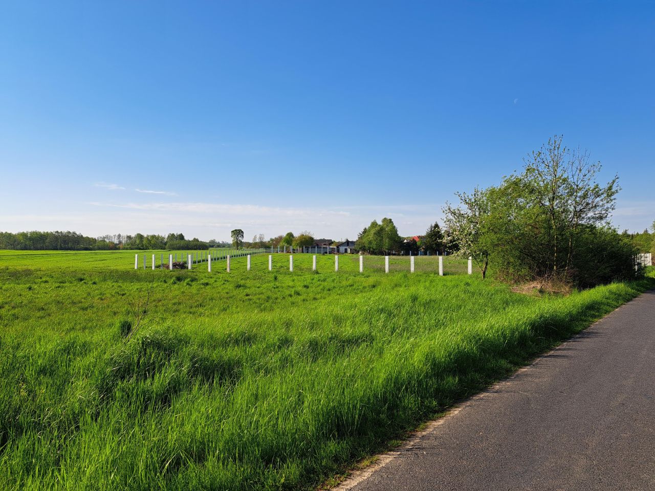 Działka budowlana Piwoda Hutki. Zdjęcie 9