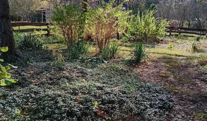 Działka rod Radom Godów, ul. Ciborowska