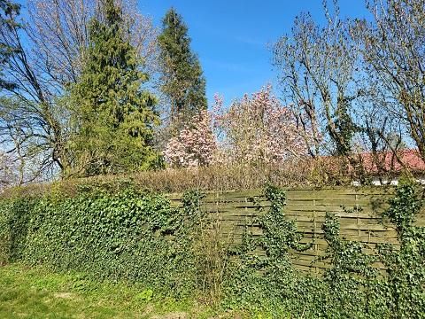 budynek wielorodzinny, 6 pokoi Jasienin Duży. Zdjęcie 10