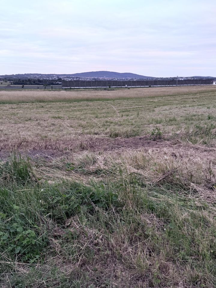 Działka budowlana Domaszowice, ul. Kwiatów Polnych. Zdjęcie 3