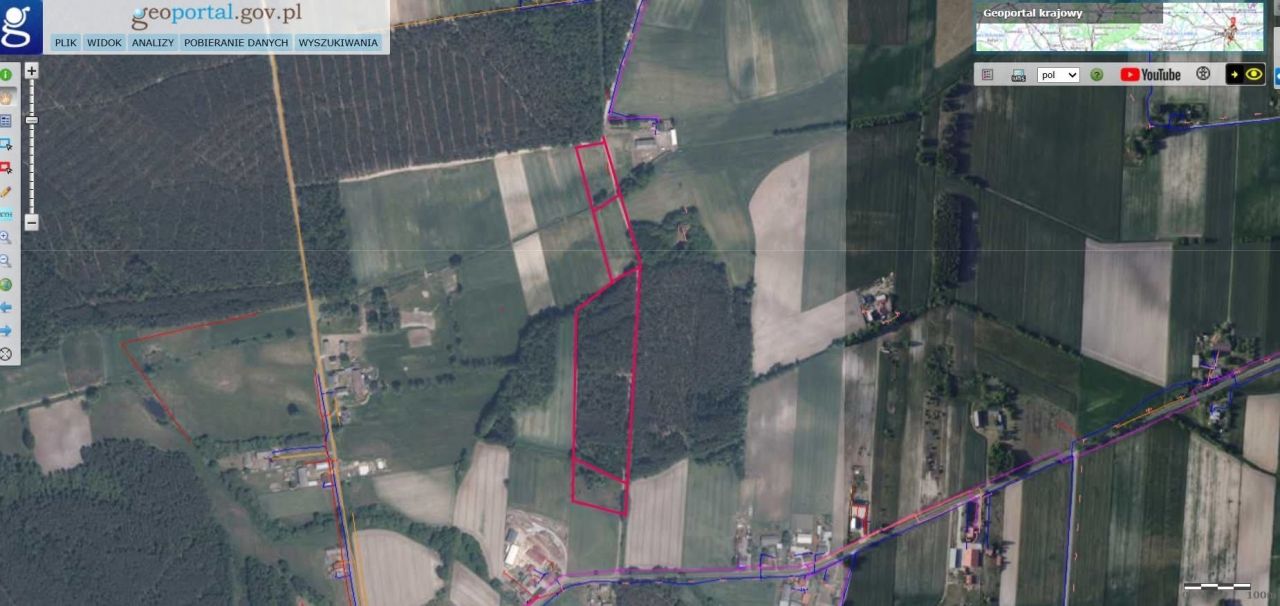 Działka leśna Włocin-Kolonia. Zdjęcie 6