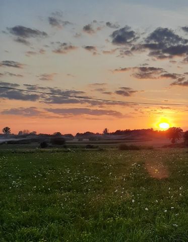 Działka rolna Dziarno. Zdjęcie 1