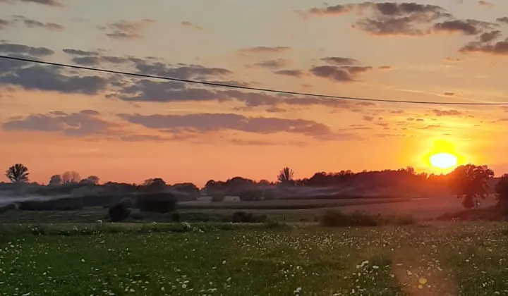 Działka rolna Dziarno