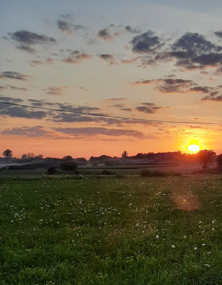 Działka rolna Dziarno