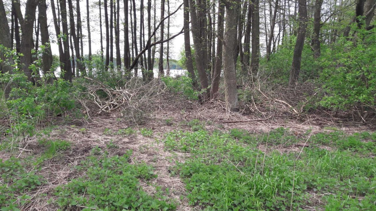 Działka rekreacyjna Łazice. Zdjęcie 6
