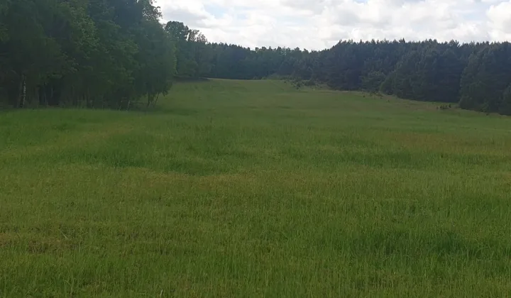 Działka budowlana Sarbinowo