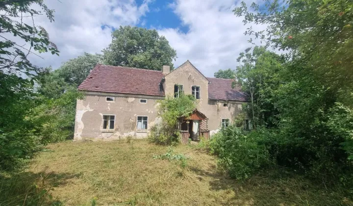 gospodarstwo Proślice