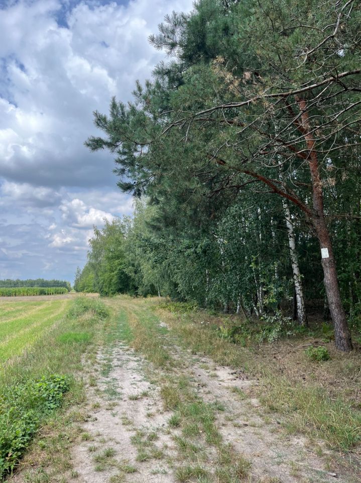 Działka Jedlińsk, ul. Malików. Zdjęcie 4