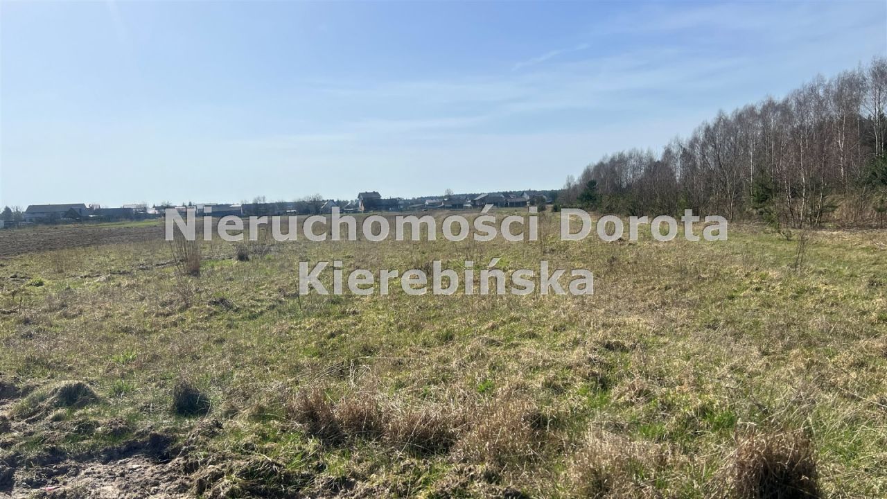 Działka inwestycyjna Królowa Wola. Zdjęcie 9