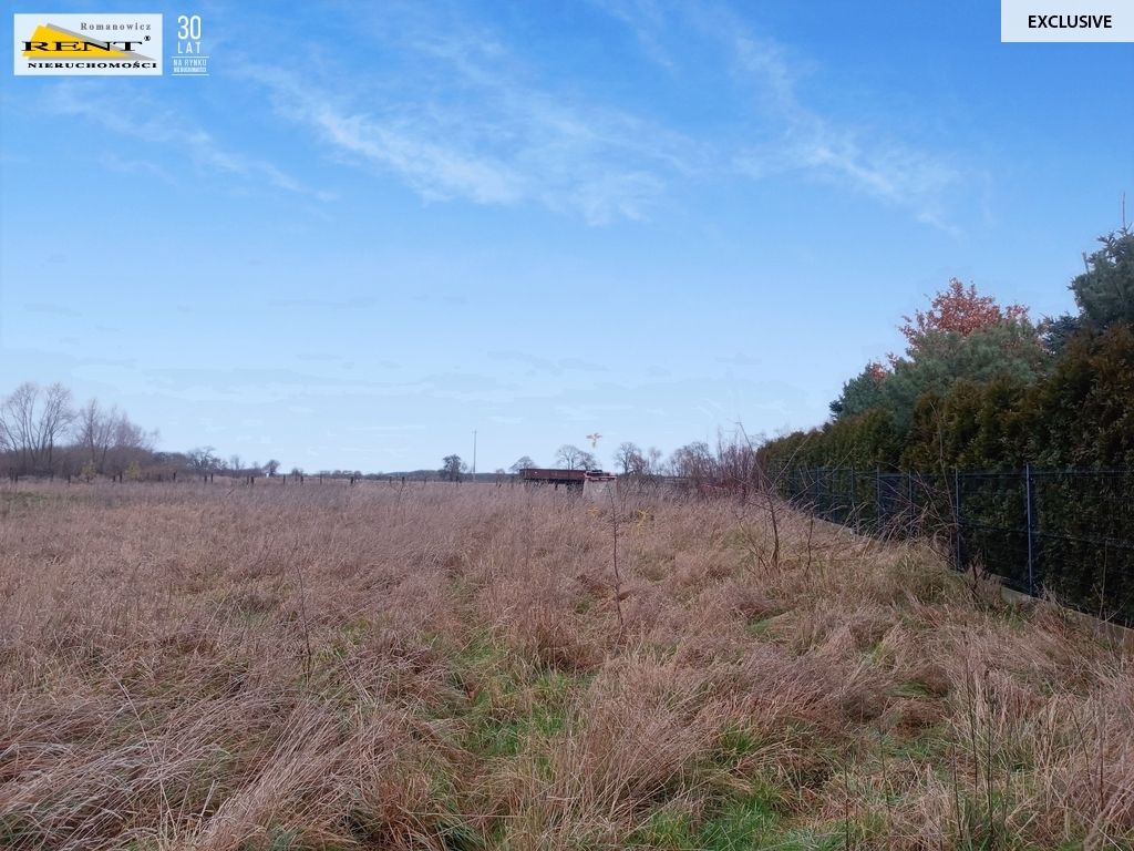 Działka inwestycyjna Wąwelnica. Zdjęcie 4