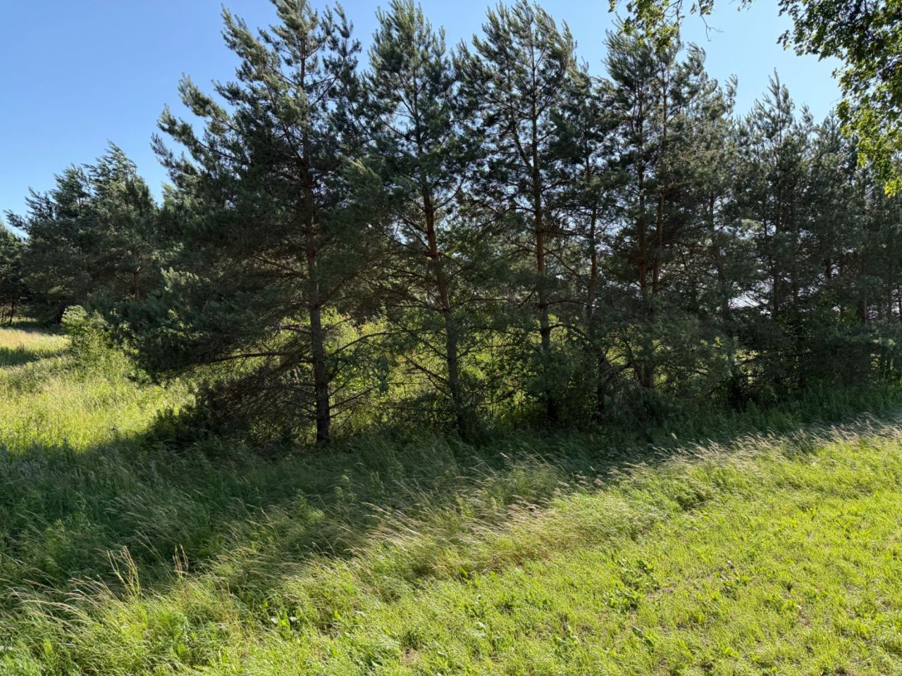 Działka budowlana Przezmark. Zdjęcie 8