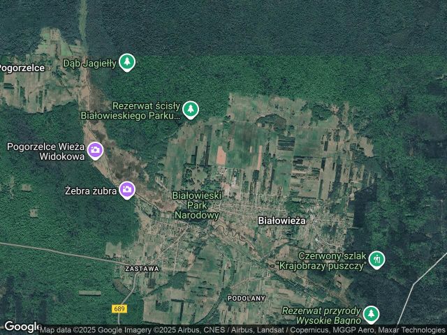 Działka rolno-budowlana Białowieża, ul. Żubrowa. Zdjęcie 1