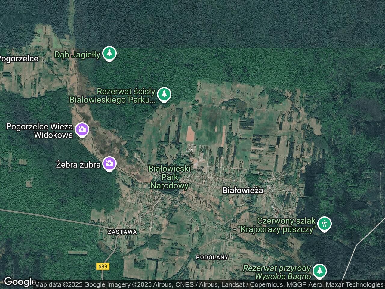 Działka rolno-budowlana Białowieża, ul. Żubrowa. Zdjęcie 1