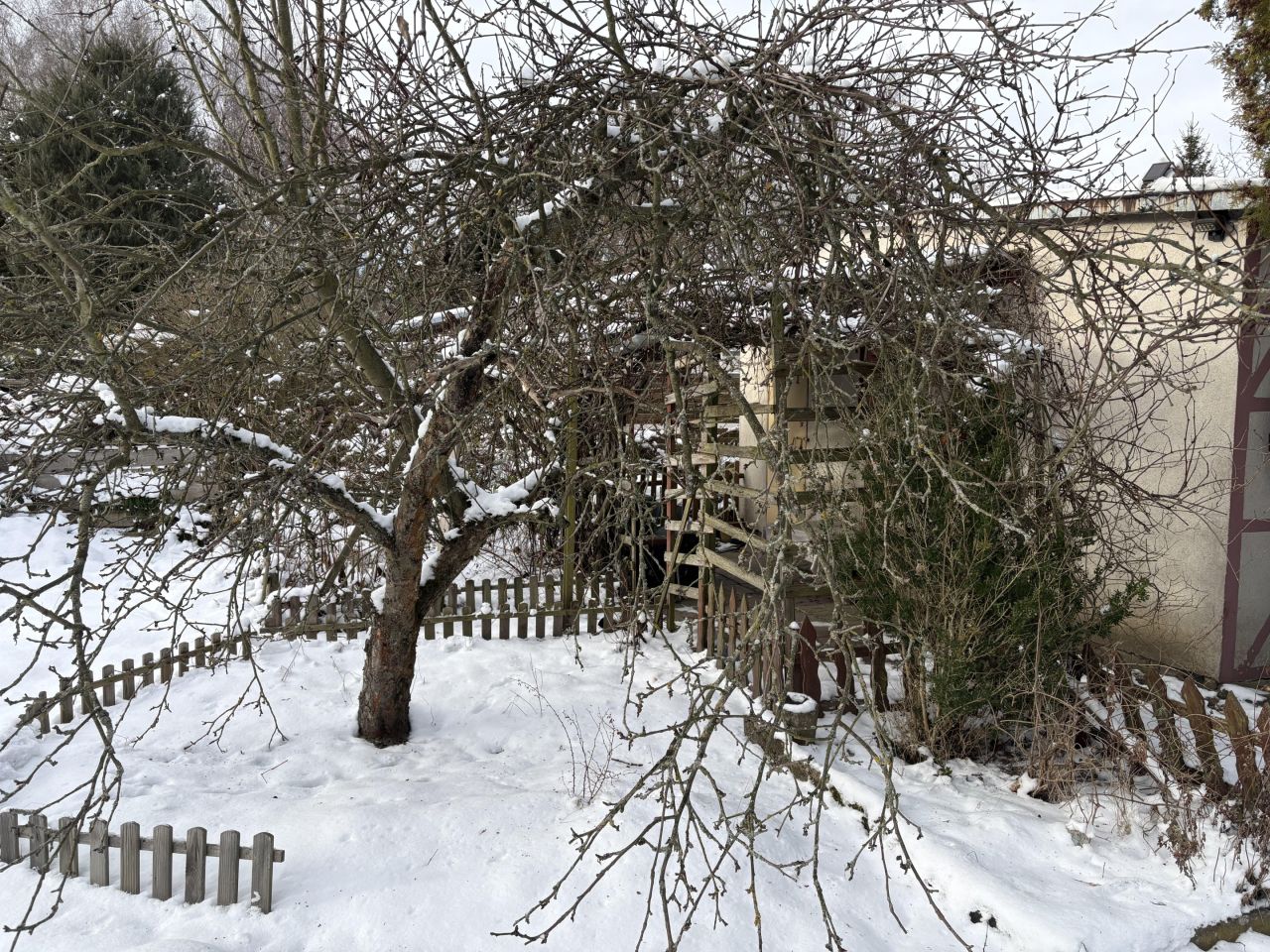 Działka rod Sulechów, ul. Gajowa. Zdjęcie 22