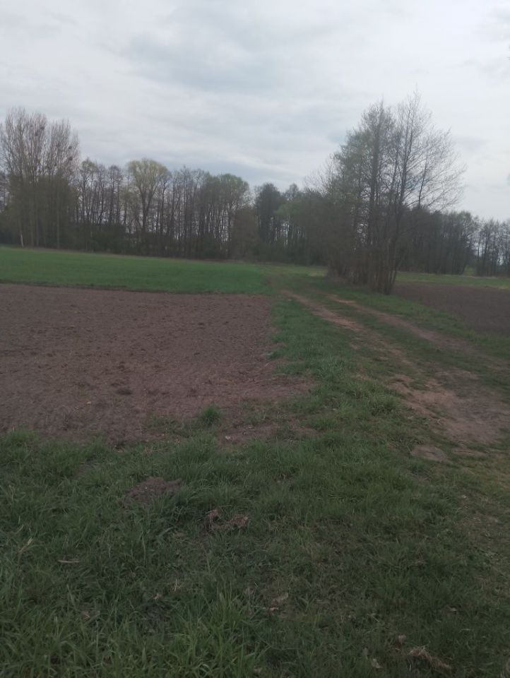 Działka rekreacyjna Zagórów. Zdjęcie 1