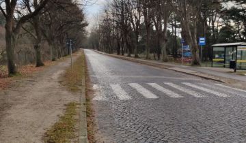 Działka leśna Chłapowo