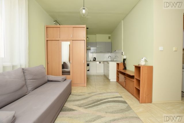 Mieszkanie 1-pokojowe Kraków Prądnik Biały, ul. Pleszowska. Zdjęcie 1