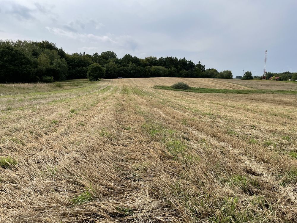 Działka rolna Kukinia. Zdjęcie 2