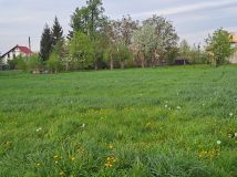 Działka budowlana Uciechów. Zdjęcie 2