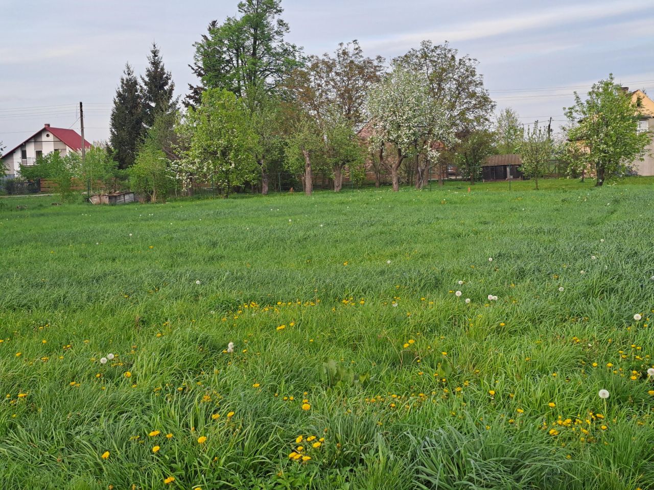 Działka budowlana Uciechów. Zdjęcie 3