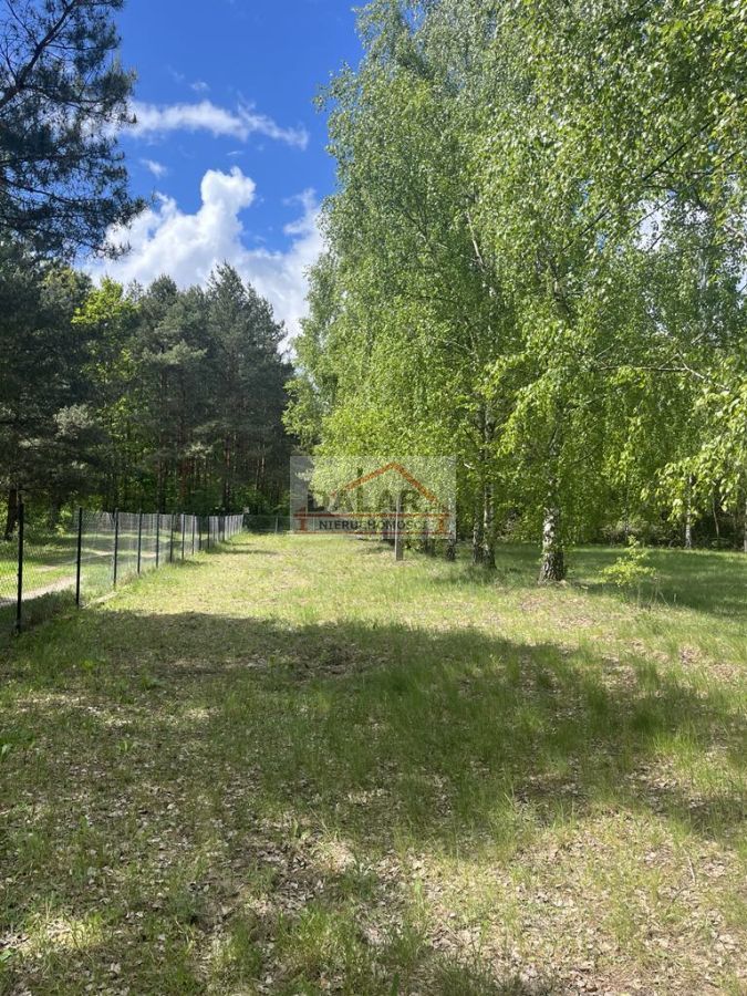 Działka budowlana Korzeniówka. Zdjęcie 12