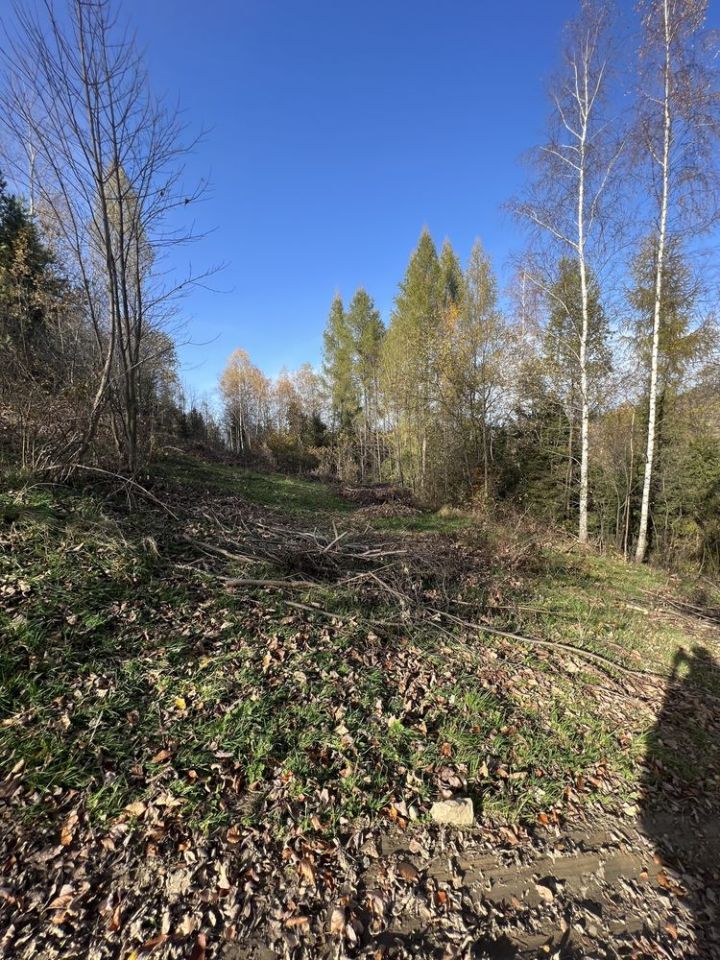 Działka leśna Juszczyna. Zdjęcie 4