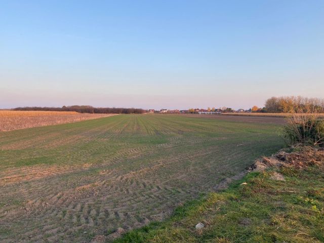 Działka inwestycyjna Szymanów. Zdjęcie 1