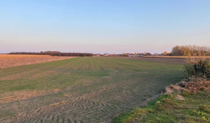 Działka inwestycyjna Szymanów