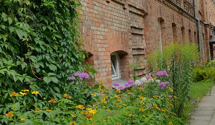 Mieszkanie 2-pokojowe Ostrołęka Wojciechowice, al. Wojska Polskiego