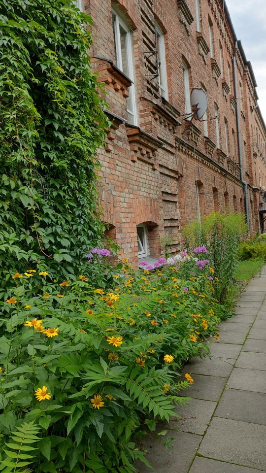 Mieszkanie 2-pokojowe Ostrołęka Wojciechowice, Aleja Wojska Polskiego. Zdjęcie 1