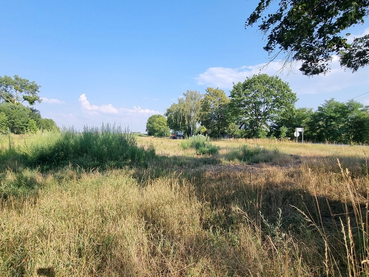 Działka budowlana Jaksin. Zdjęcie 12