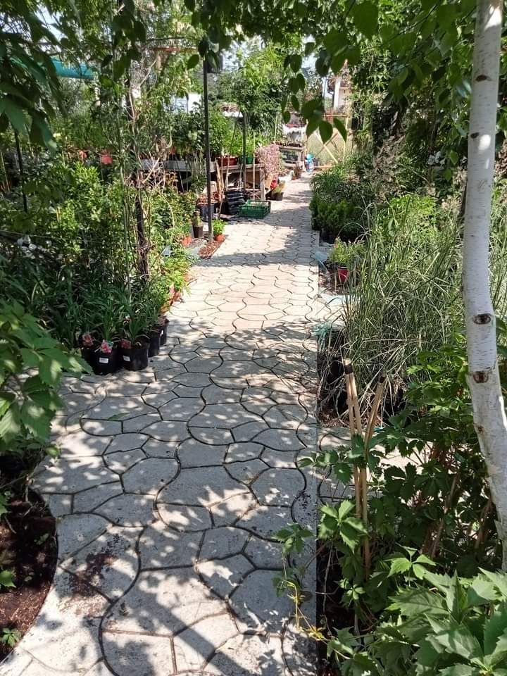 Lokal Płock Podolszyce, ul. Gościniec. Zdjęcie 2