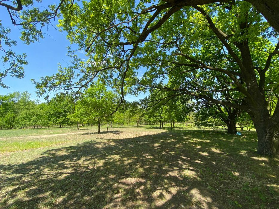 Działka rolna Klaudyn, ul. Klaudyńska. Zdjęcie 7