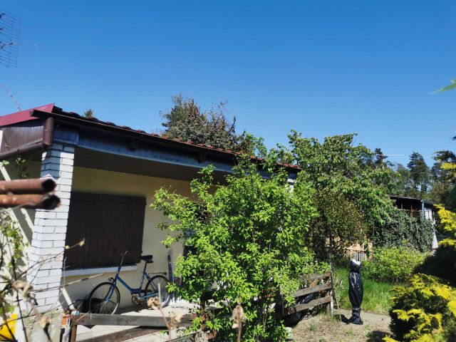 Działka rekreacyjna Sierosław. Zdjęcie 1