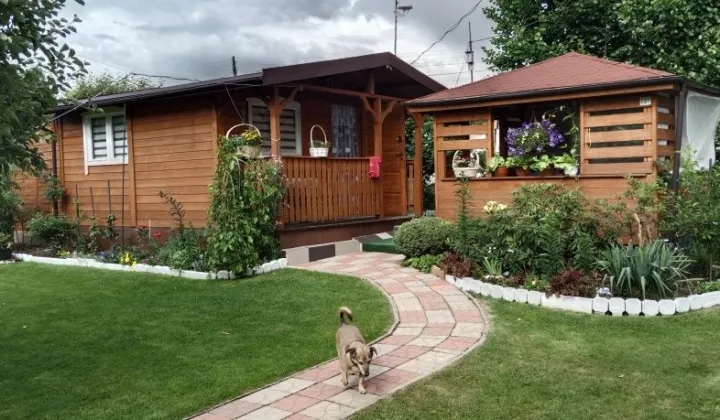 Działka rod Jastrzębie-Zdrój, ul. Rotmistrza Pileckiego