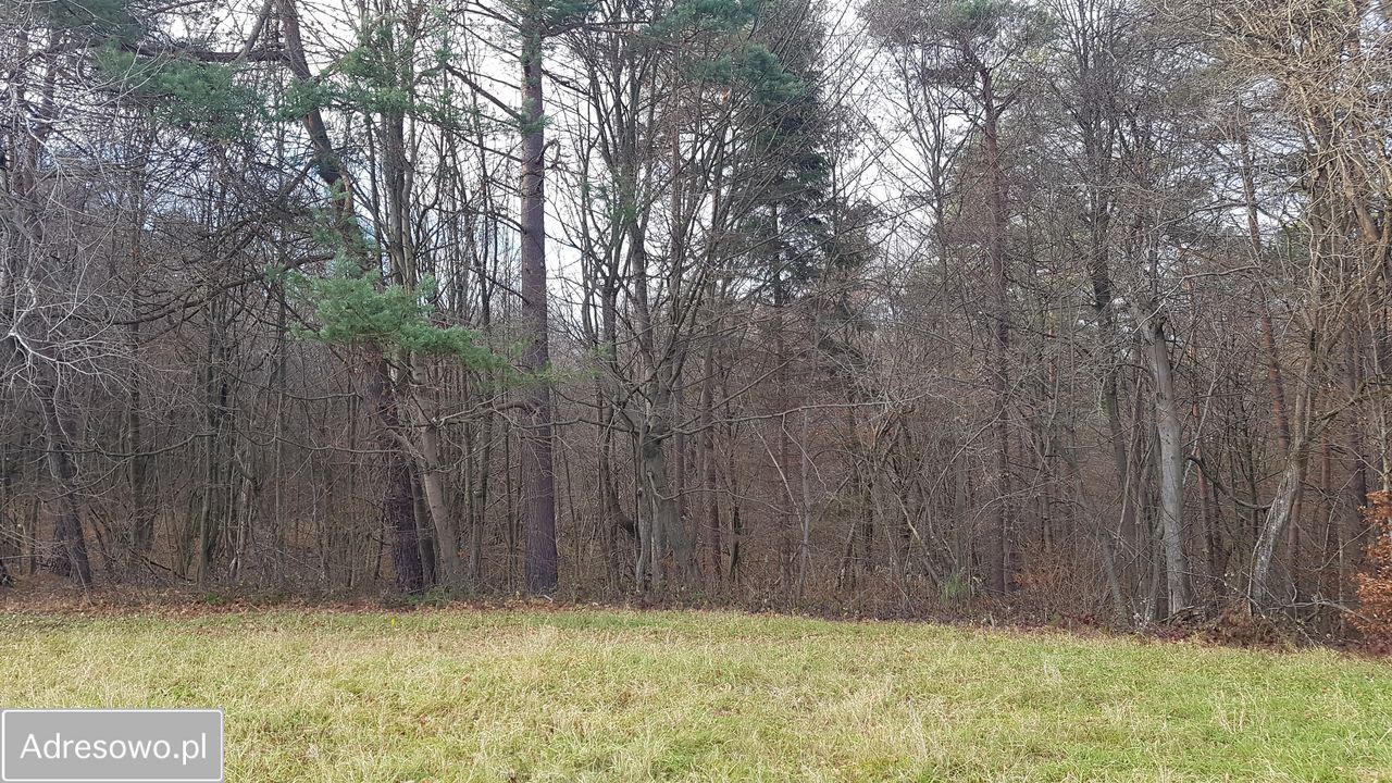 Działka inwestycyjna Bóbrka. Zdjęcie 12