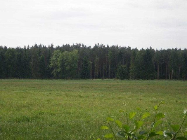 Działka siedliskowa Ostrowin. Zdjęcie 1