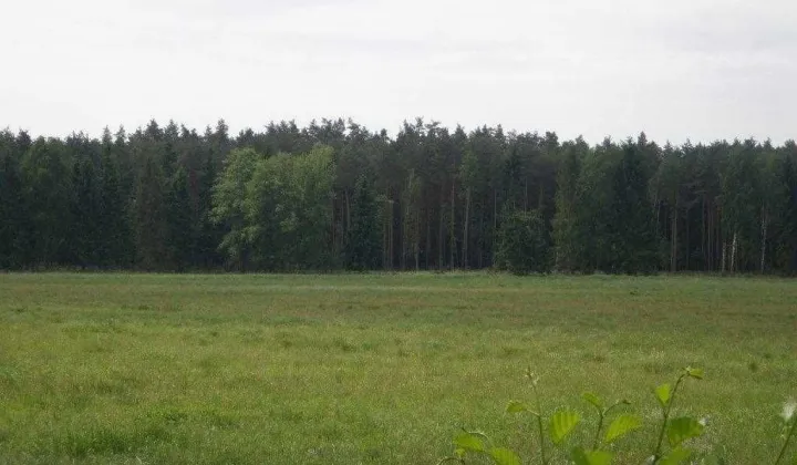 Działka siedliskowa Ostrowin