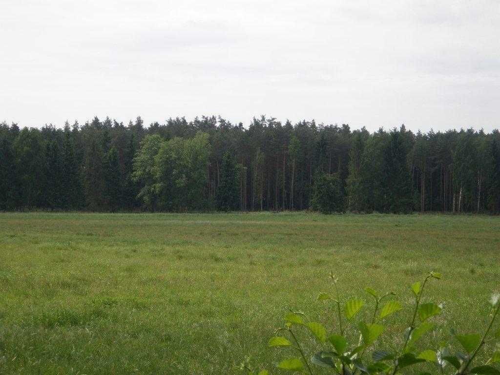 Działka siedliskowa Ostrowin. Zdjęcie 1