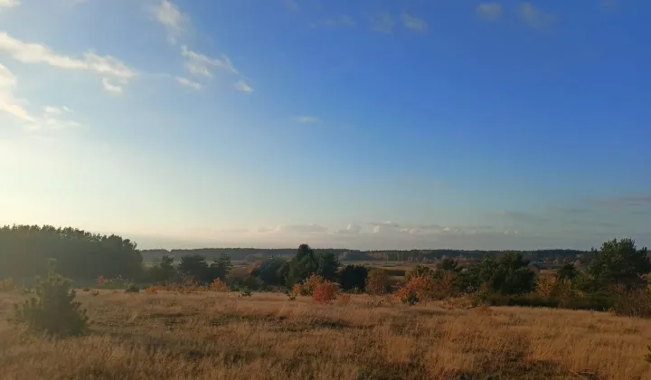 Działka budowlana Mieroszyno, ul. Hannemannów
