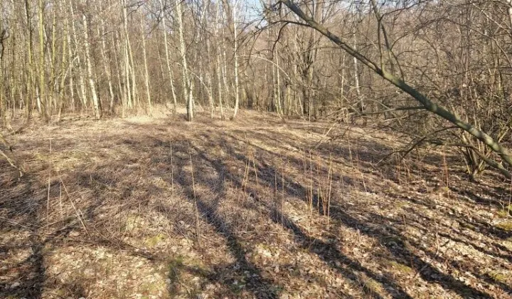 Działka rolna Góra Ropczycka