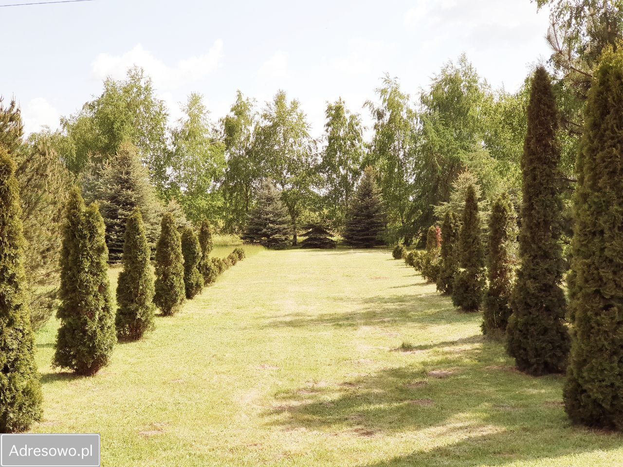 Hotel/pensjonat Teresin. Zdjęcie 14