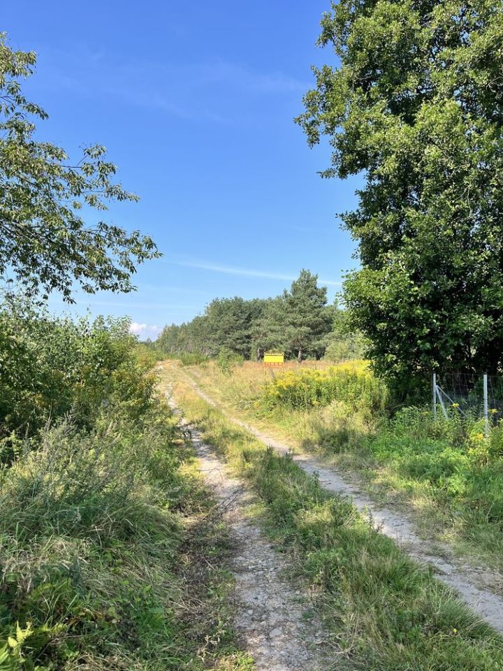 Działka rolno-budowlana Turka, ul. Królicza. Zdjęcie 2