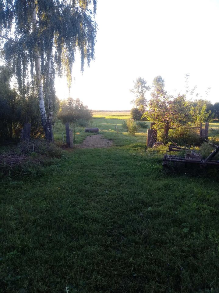 siedlisko Dolistowo Stare. Zdjęcie 8