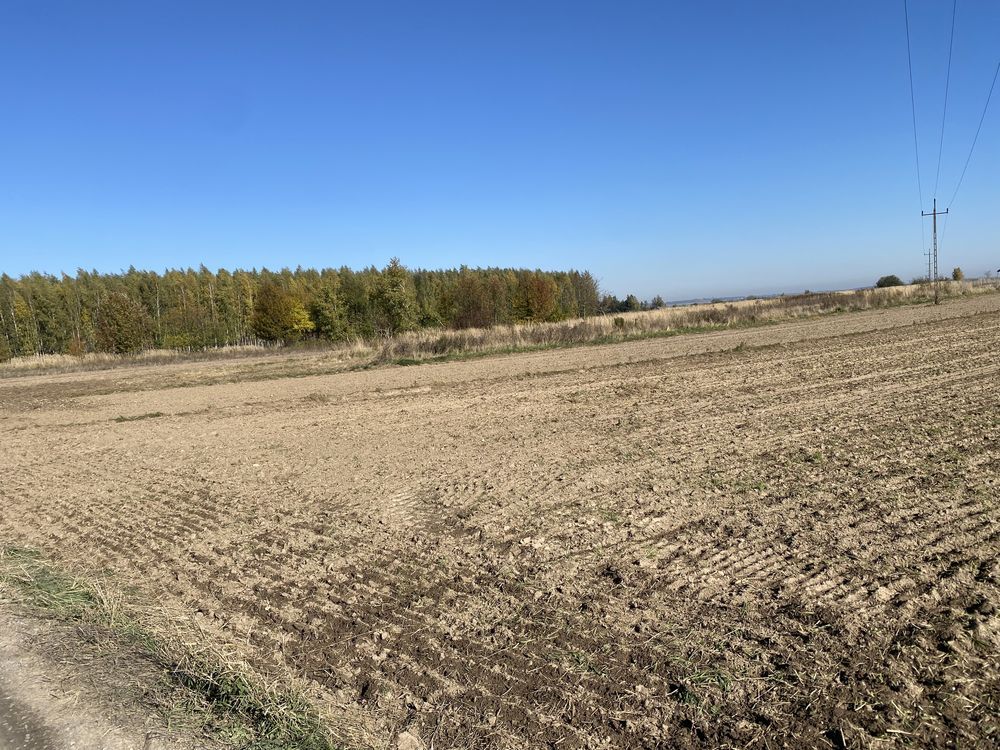 Działka budowlana Chyża. Zdjęcie 2